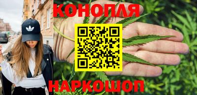 сатива Пенза