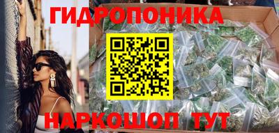 сатива Пенза