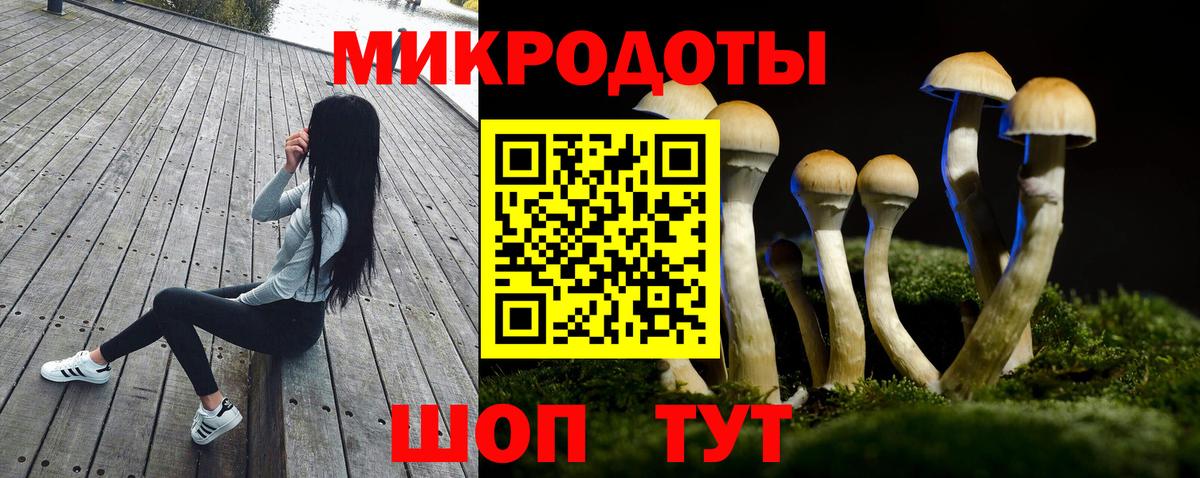 Псилоцибиновые грибы Psilocybine cubensis Саянск